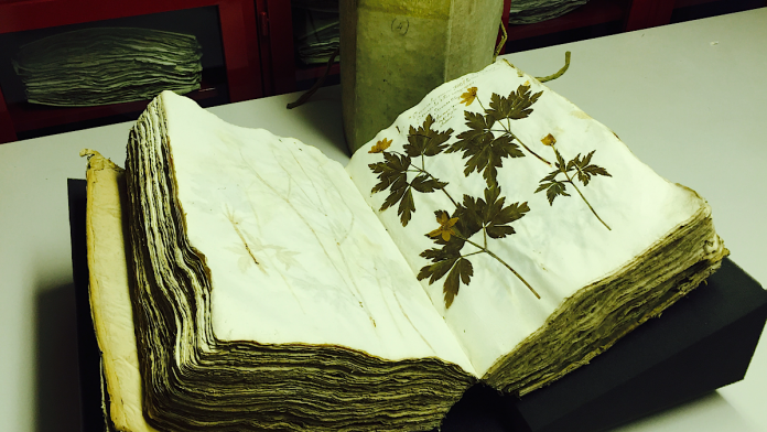 Болонья присоединяется к Дням европейского наследия InVita, которые пройдут на выходных 23 и 24 сентября — FIRSTonline