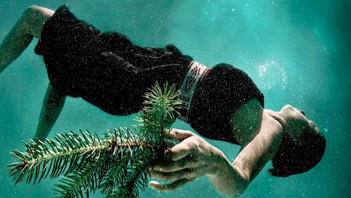 Современное индейское искусство на выставке Phillips New York — FIRSTonline