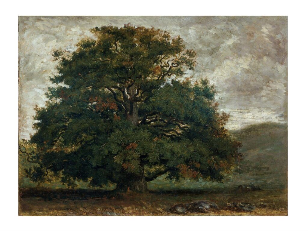 Искусство и природа